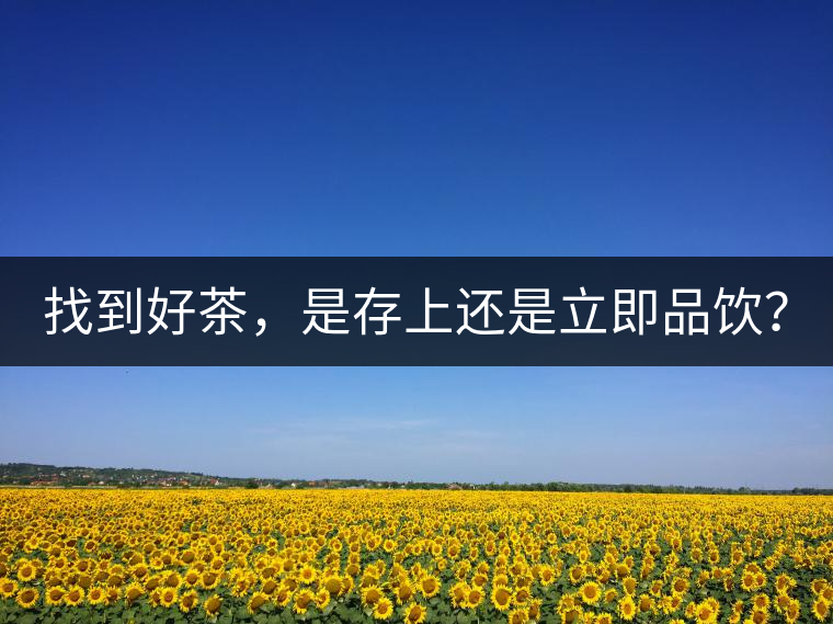 找到好茶，是存上還是立即品飲？