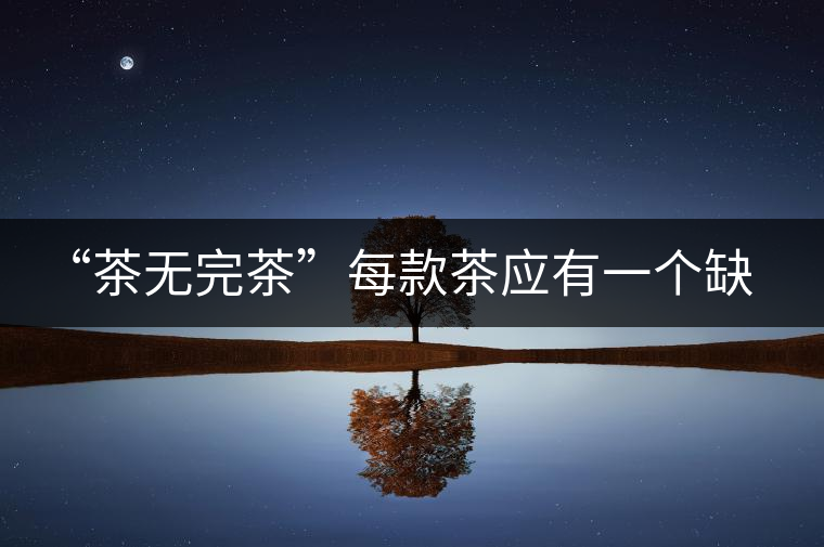 “茶無完茶”每款茶應有一個缺點！