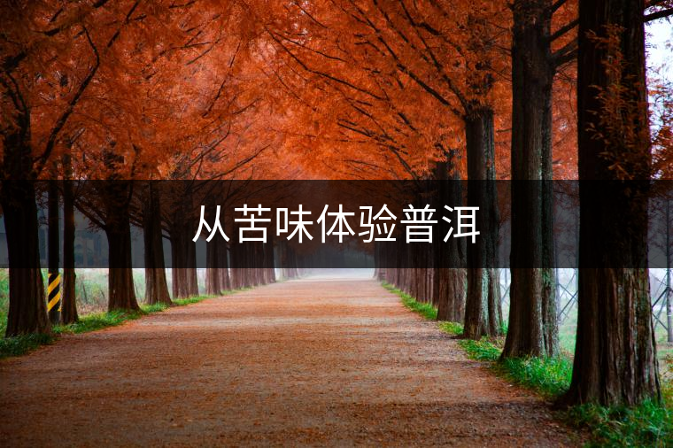 從苦味體驗普洱