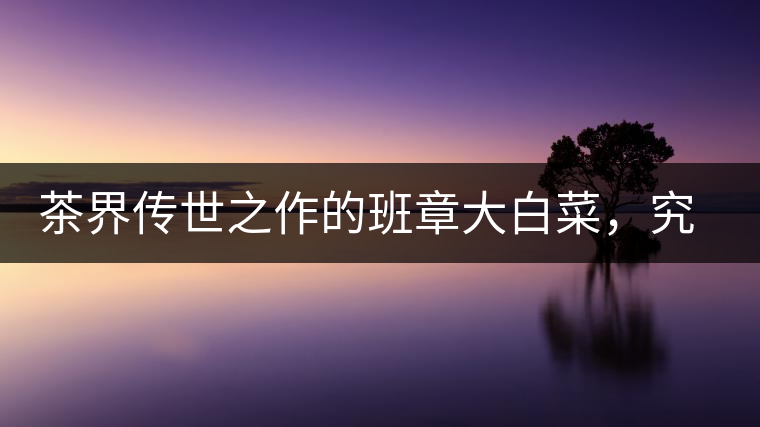 茶界傳世之作的班章大白菜，究竟有什么大來頭？