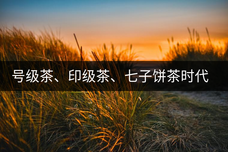 號級茶、印級茶、七子餅茶時代是怎么劃分的？