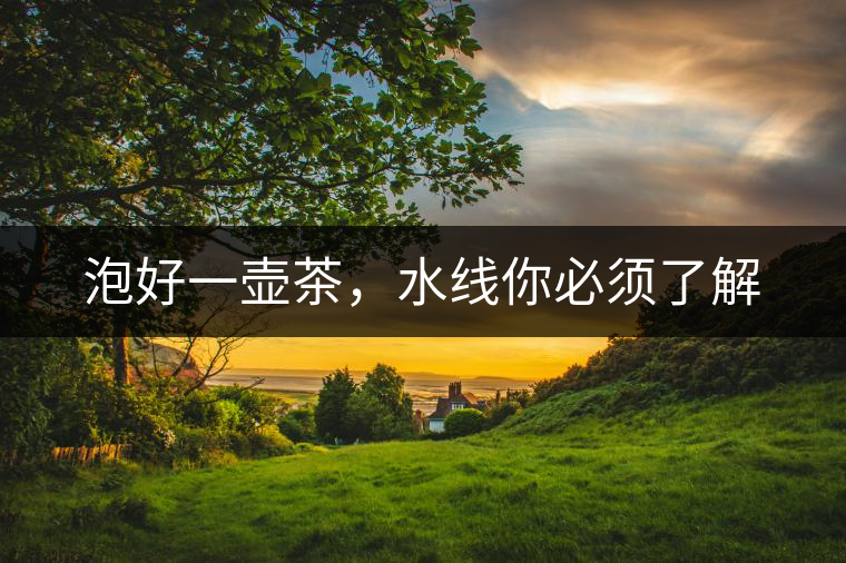 泡好一壺茶，水線你必須了解