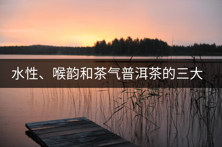 水性、喉韻和茶氣普洱茶的三大難點