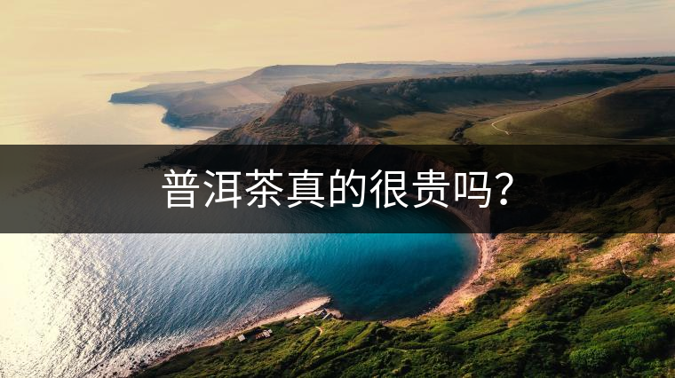 普洱茶真的很貴嗎？