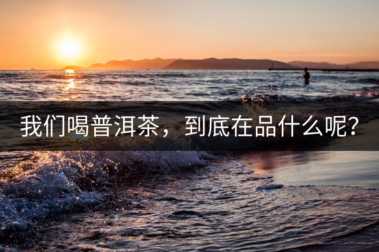 我們喝普洱茶，到底在品什么呢？