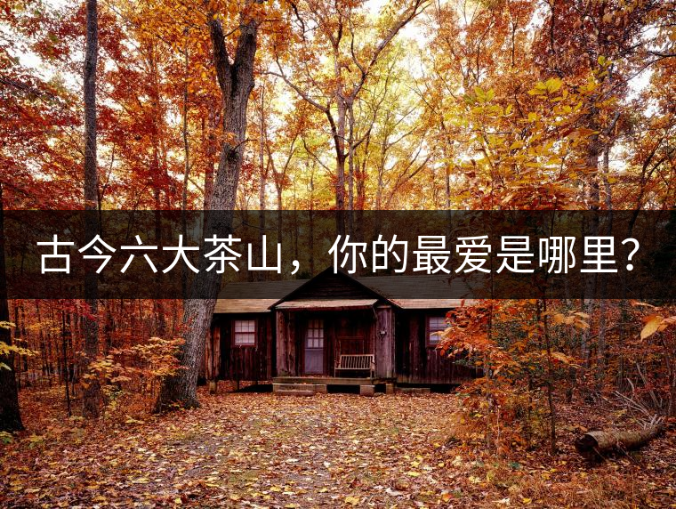 古今六大茶山，你的最愛是哪里？