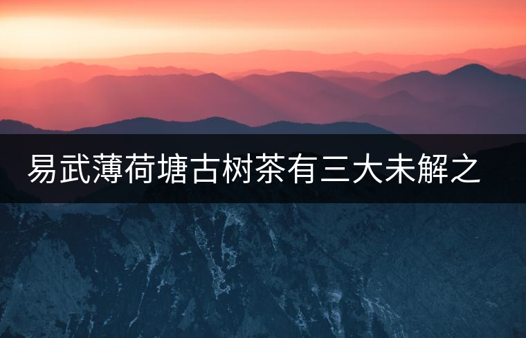 易武薄荷塘古樹茶有三大未解之謎