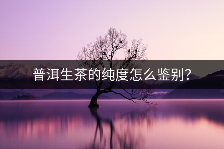 普洱生茶的純度怎么鑒別？