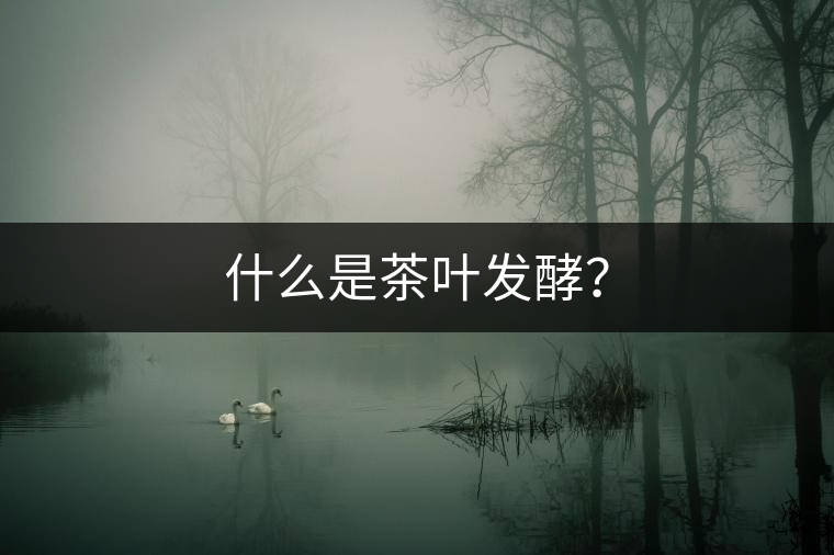 什么是茶葉發(fā)酵？