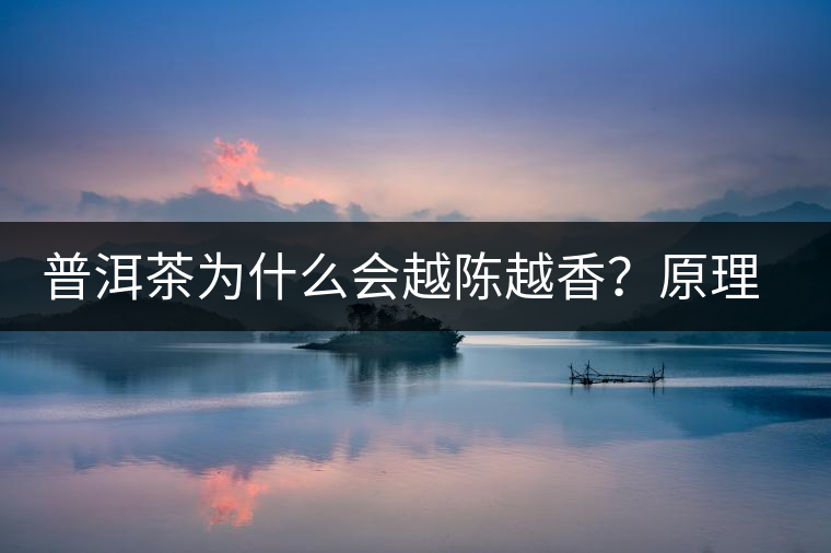普洱茶為什么會越陳越香？原理是什么？