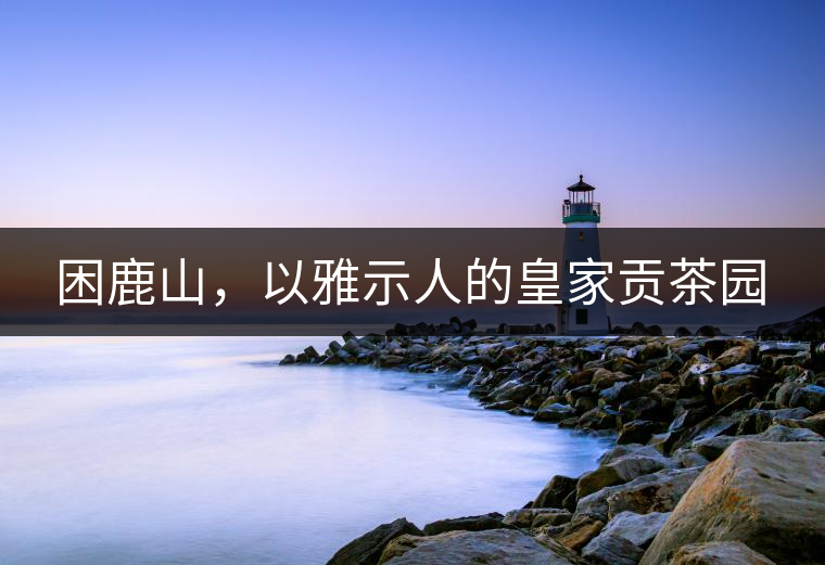 困鹿山，以雅示人的皇家貢茶園