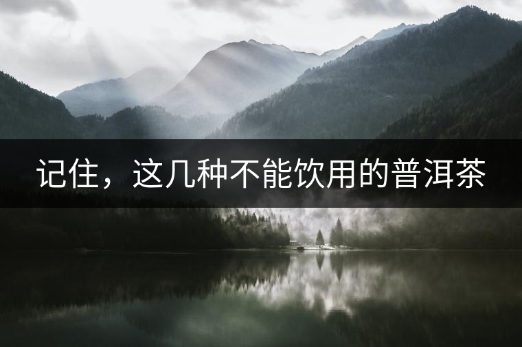 記住，這幾種不能飲用的普洱茶