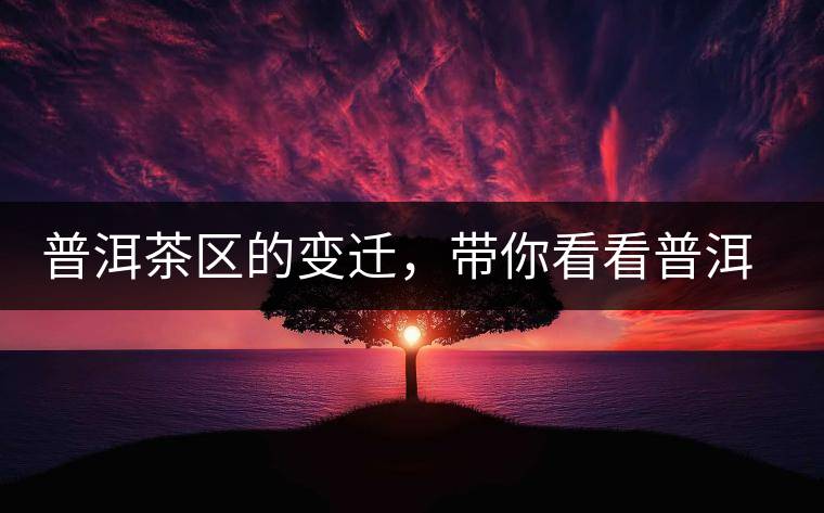 普洱茶區(qū)的變遷，帶你看看普洱茶地域分布