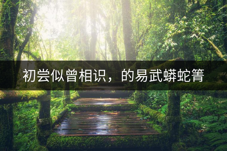 初嘗似曾相識，的易武蟒蛇箐