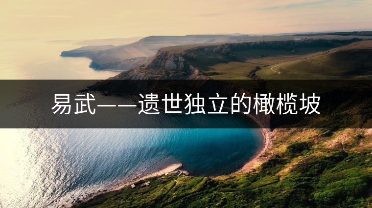 易武——遺世獨立的橄欖坡