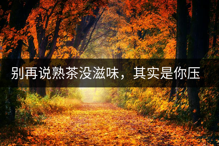 別再說熟茶沒滋味，其實是你壓根沒喝懂
