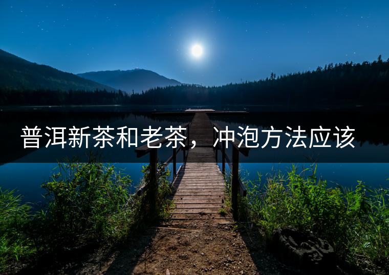 普洱新茶和老茶，沖泡方法應(yīng)該一樣嗎？