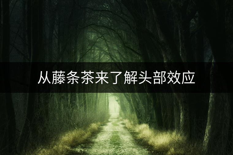 從藤條茶來了解頭部效應 從藤條茶來了解頭部效應
