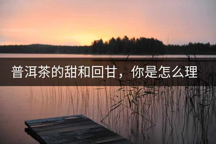 普洱茶的甜和回甘，你是怎么理解的？