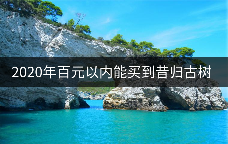 2020年百元以內(nèi)能買到昔歸古樹嗎？