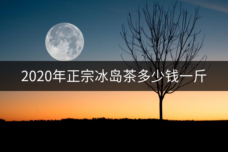 2020年正宗冰島茶多少錢一斤