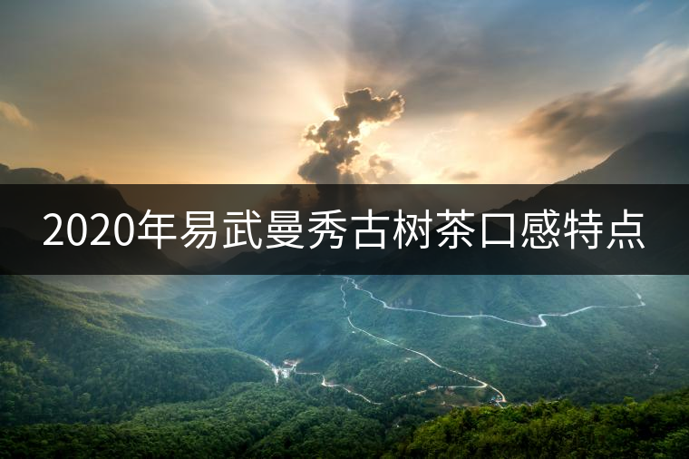 2020年易武曼秀古樹茶口感特點 2020年易武曼秀古樹茶口感特點