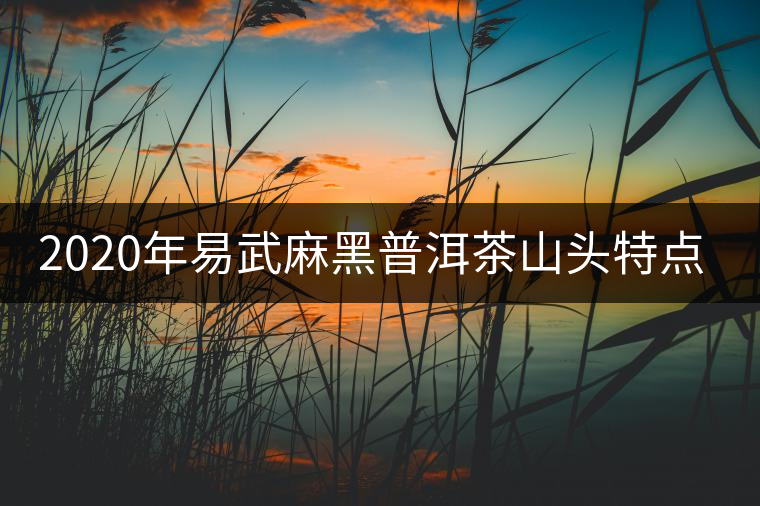 2020年易武麻黑普洱茶山頭特點(diǎn)介紹 2020年易武麻黑普洱茶山頭特點(diǎn)介紹
