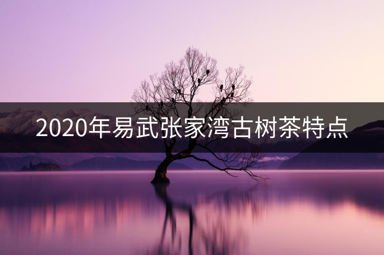 2020年易武張家灣古樹茶特點