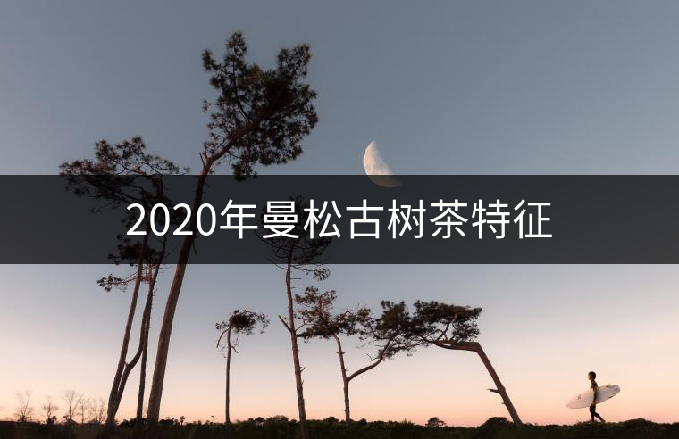2020年曼松古樹(shù)茶特征