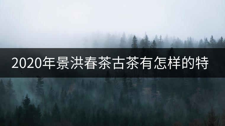 2020年景洪春茶古茶有怎樣的特點(diǎn)？