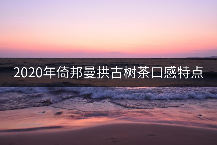 2020年倚邦曼拱古樹茶口感特點