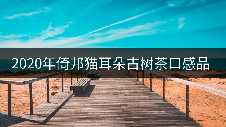 2020年倚邦貓耳朵古樹茶口感品質(zhì) 2020年倚邦貓耳朵古樹茶口感品質(zhì)