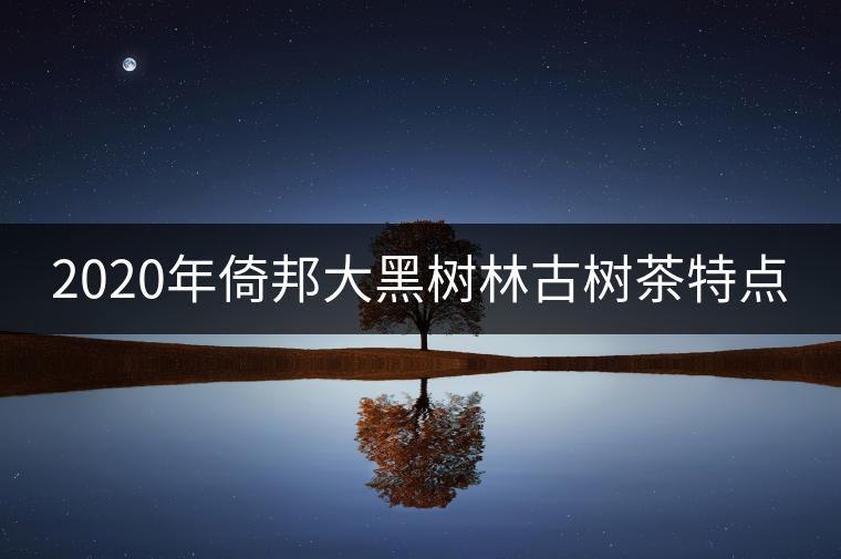 2020年倚邦大黑樹林古樹茶特點(diǎn)