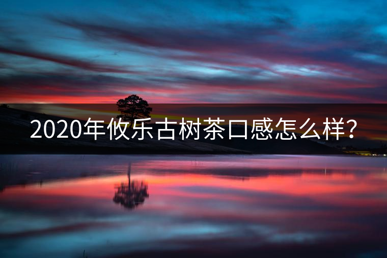2020年攸樂古樹茶口感怎么樣？