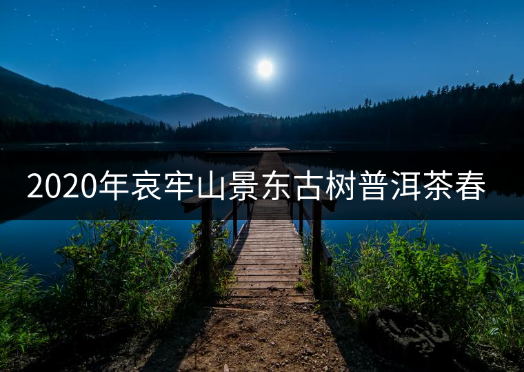 2020年哀牢山景東古樹普洱茶春茶特點(diǎn)