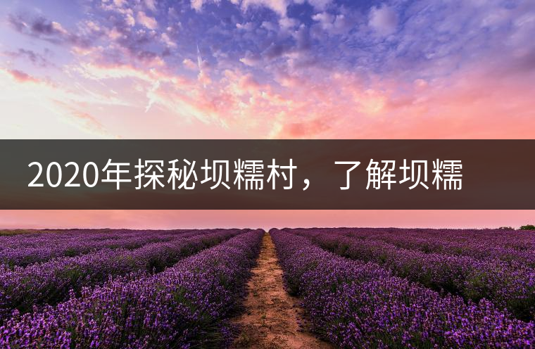 2020年探秘壩糯村，了解壩糯藤條茶的真相