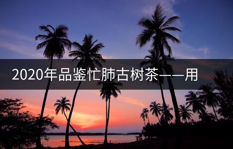 2020年品鑒忙肺古樹茶——用誠意獻上一杯好茶