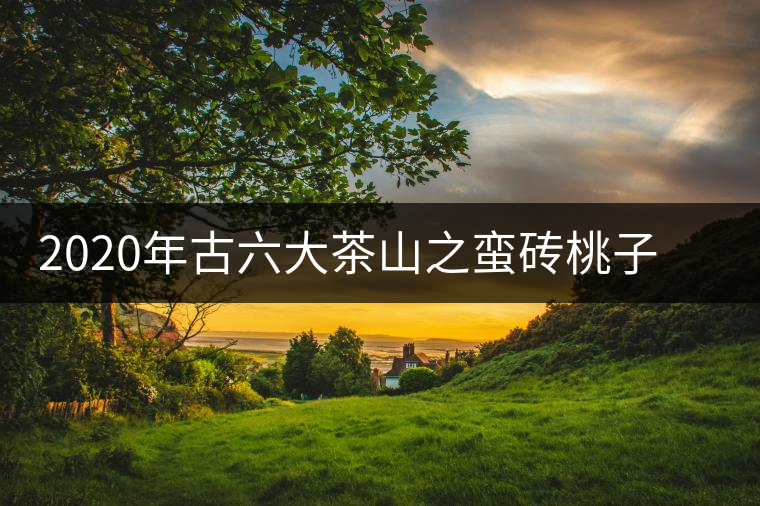 2020年古六大茶山之蠻磚桃子寨古樹茶，瓦龍古樹茶口感與特點