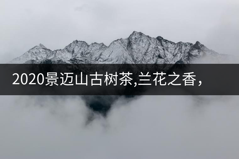 2020景邁山古樹茶,蘭花之香，自然之味