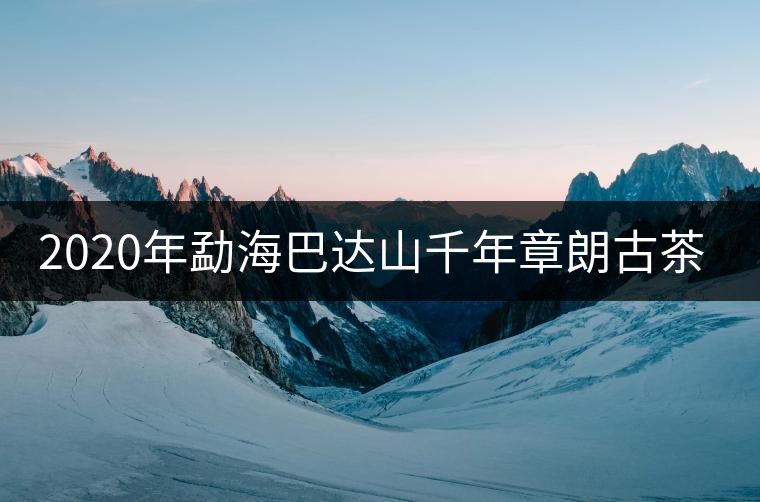 2020年勐海巴達(dá)山千年章朗古茶園