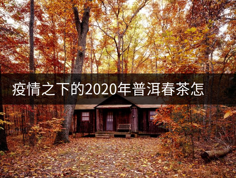 疫情之下的2020年普洱春茶怎么辦？春天會(huì)遲到，但一定會(huì)來(lái)