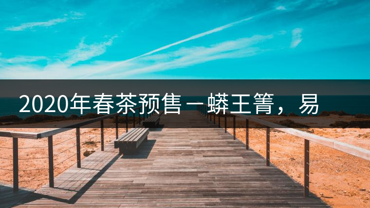 2020年春茶預(yù)售－蟒王箐，易武一個(gè)蟒蛇出沒的地方