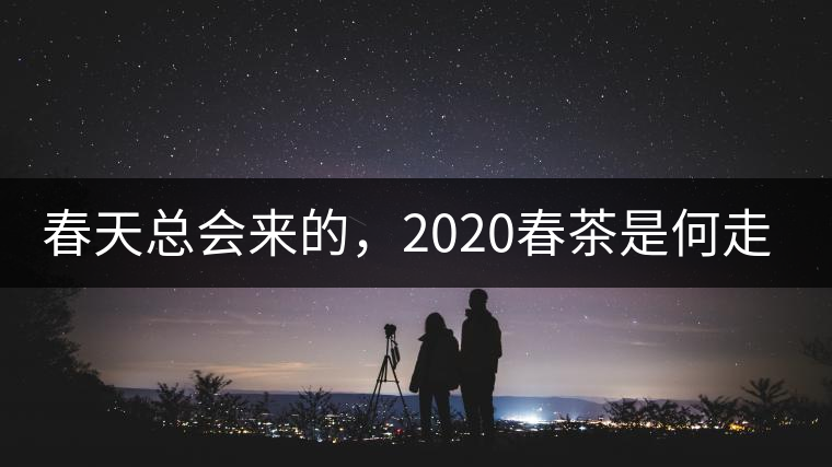 春天總會(huì)來的，2020春茶是何走勢？