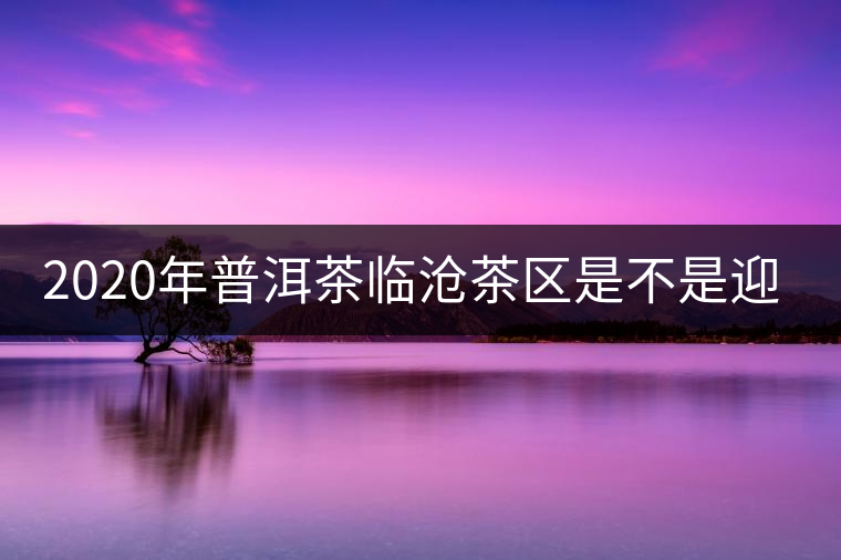 2020年普洱茶臨滄茶區(qū)是不是迎來最好機(jī)遇？