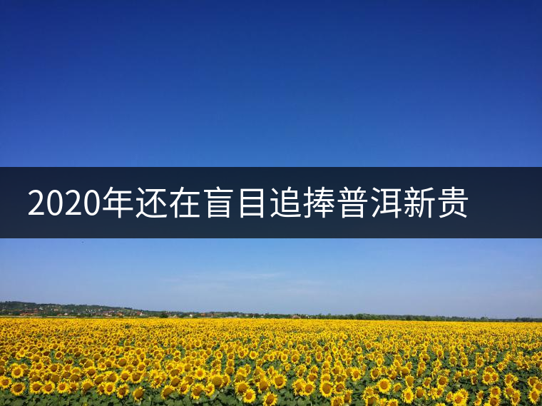 2020年還在盲目追捧普洱新貴“貓耳朵”？我們深入產(chǎn)區(qū)為你揭示最真實(shí)的“貓耳朵”！