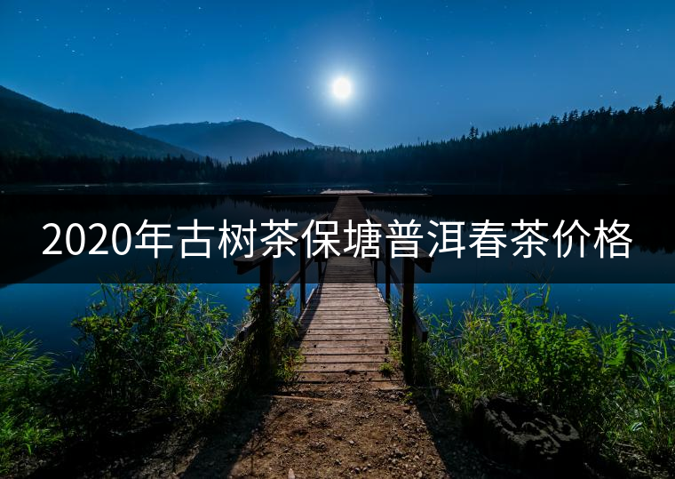 2020年古樹茶保塘普洱春茶價格