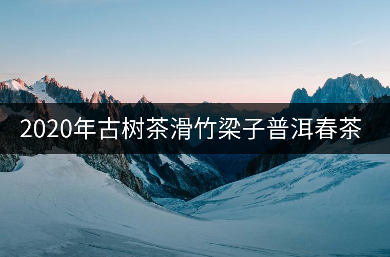 2020年古樹茶滑竹梁子普洱春茶價(jià)格
