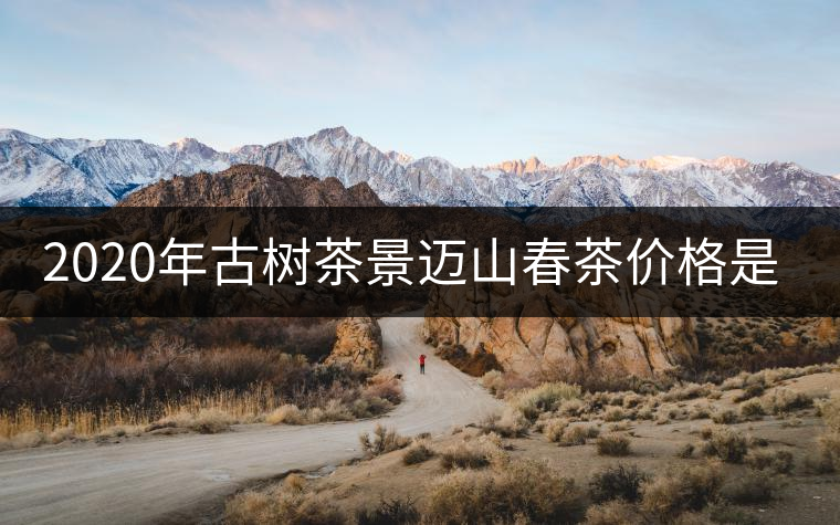 2020年古樹茶景邁山春茶價(jià)格是多少？