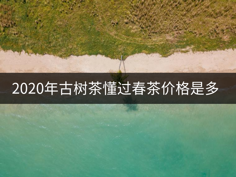 2020年古樹茶懂過春茶價格是多少？