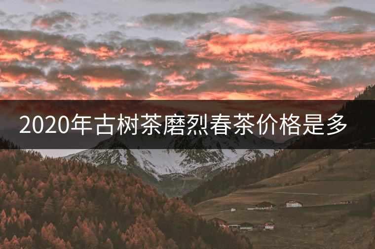 2020年古樹茶磨烈春茶價格是多少？